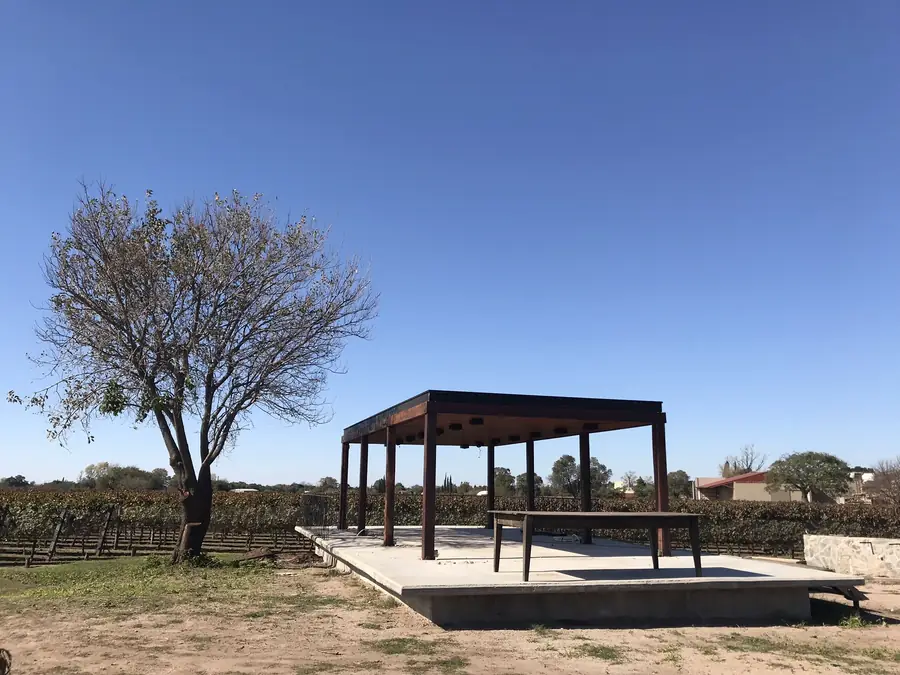 Invernón Arquitectos — Pérgola metálica en el viñedo